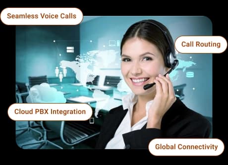 VoIP image